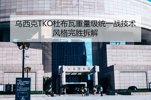 乌西克TKO杜布瓦重量级统一战技术风格完胜拆解